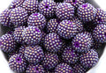 Purple beads with an AB coating in a white bowl on a white background 